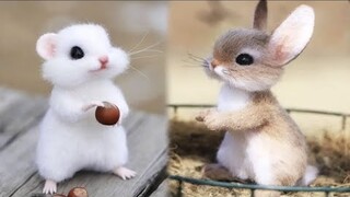 Cute Baby Animals Videos Compilation | Funny and Cute Moment of the Animals #22 - Cutest Animals