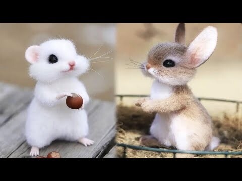 Cute Baby Animals Videos Compilation | Funny and Cute Moment of the Animals #22 - Cutest Animals
