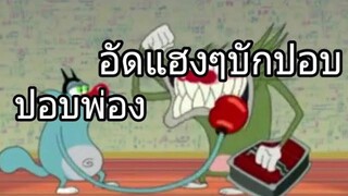 OGGY พากย์อีสาน ตอนมวยหมาแมว