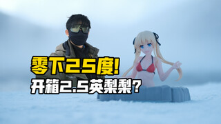 零下25度开箱手办是真TM冷！