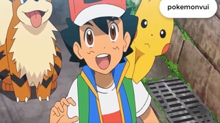 Ngày hội định hướng pokemon