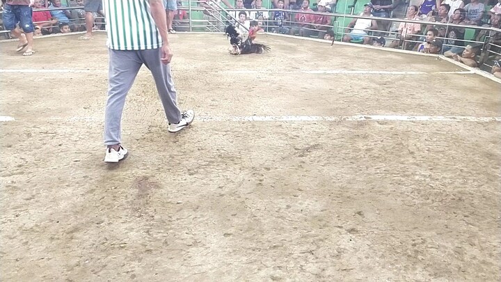MY BOSTON SWEATER DURING 4 WINS TAPARAY AT PBO COCKPIT