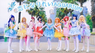 [Tình yêu sống! 】【Aqours】🐬恋になりたいAQUARIUM/Thủy cung tình yêu🐬Tôi muốn dũng cảm nói với bạn rằng: Tôi 