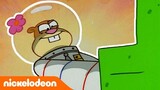 SpongeBob SquarePants | Sandy memperbaiki keadaan! | Nickelodeon Bahasa