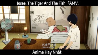 Josee, The Tiger And The Fish「AMV」Hay Nhất