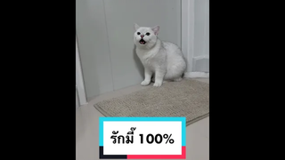 พูดเก่งทุกคลิปเลยยย🥰