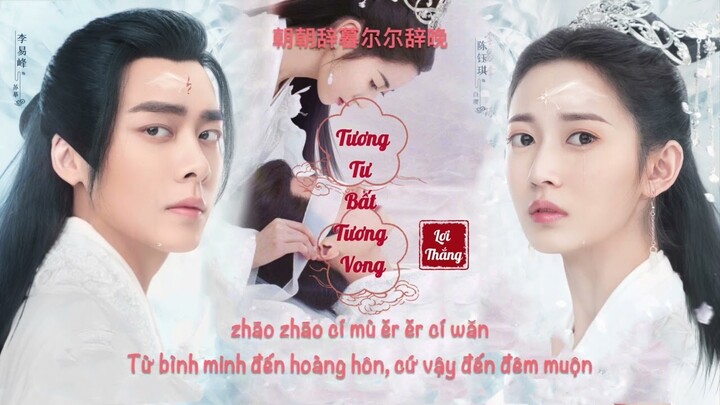 Vietsub ☘︎ Tương Tư Bất Tương Vong - Lợi Thắng Ost Kính Song Thành || 相思不相忘 利胜