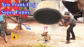 New Prank! handmade Basket & Plastic Box prank dog so funny