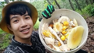 เก็บเห็ดไข่เหลืองไข่ขาว เห็ดระโงก เห็ดไค วันหมานๆเต็มถังเลยครับ