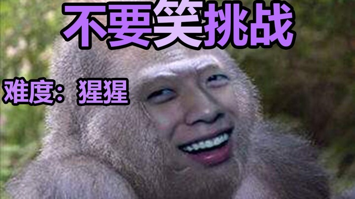 【封面级】不要笑挑战！笑的喷了一裤子水...全程高能