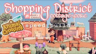 SHOPPING DISTRICT: SPEED BUILD // ANIMAL CROSSING NEW HORIZONS