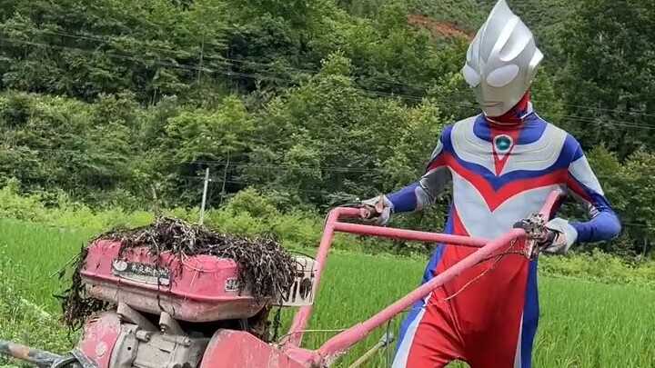 Ultraman bisa naik ke langit dan turun ke bumi.