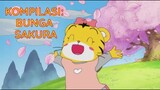 Kompilasi: Bunga Sakura | Kartun Anak Bahasa Indonesia | Shimajiro Indonesia