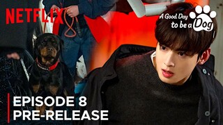 A Good Day to be a Dog | Episode 8 Pre-Release | Cha Eun Woo | Park Gyu Young {ENG SUB}