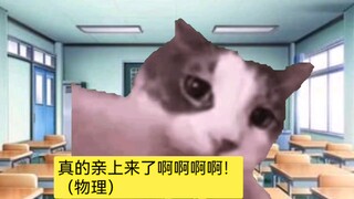 【Cat meme】After conquering the cool and arrogant academic master, I discovered his yandere nature (E