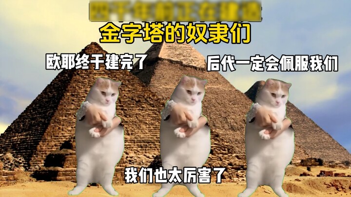 ทาสผู้สร้างปิรามิด!