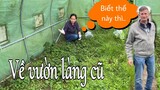 Thu hoạch rau sau khi Mai về Pháp. Lý do không đưa Mai đến đây | Cuộc sống ở Đức