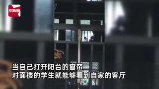 美女家对面就是学校教室，每天开窗收获哭笑不得问候：阿姨好