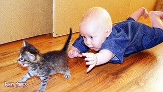 Video Lucu Bayi bermain dengan kucing - paling lucu banget bikin ketawa Dan Anjing Mencintai Bayi
