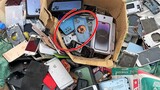 Lucky Day! Found many abandoned Phones in the garbage dump!  i Check iPhone 14 & Restore Galaxy A52