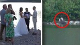 Grizzly Bear Kills Moose During Couple’s Wedding