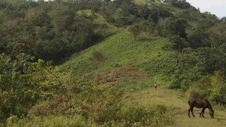 山川异域，风月同天。世界大背景，百年大变局，我们在海外生活创业，同呼吸，共命运。愿大家都平安吉祥，和气生财，家庭幸福美满！把“这件事为什么发生在我身上"的怨念，转变成“这件事是为了教会我什么"的