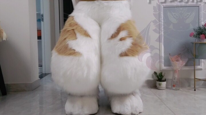 Animal costume fake full curved leg display