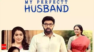 My Perfectt Husband (2024) All Episodes in Hindi