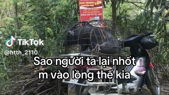 :(((