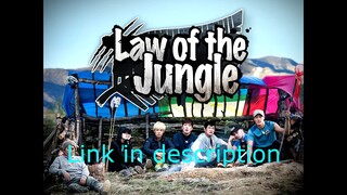 Law of the jungle in Madagascar [1-8 END] RAW