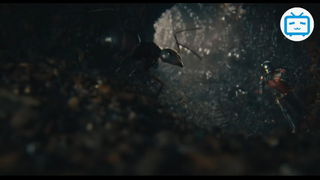 Marvel Studios AntMan Người Kiến  Trailer B #phimhay