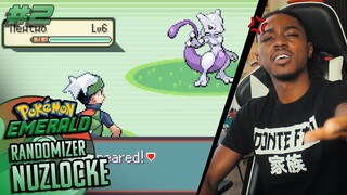 A WILD MEWTWO APPEARED?!! | Pokemon Emerald Randomizer Nuzlocke [Episode 2]