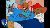 Tom & Jerry em Português 🇧🇷 | Brasil | Noite Confortável Dentro de Casa | WB Kids