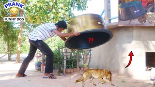 Wow !! Scaring Prank Super Plastic Box Prank on Sleeping Dog, Dog running fastest , Funny Video