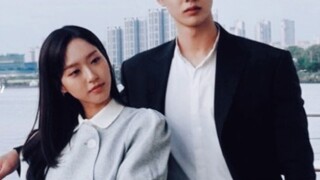 Họ thực sự rất hợp nhau!