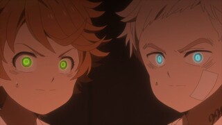 The promised neverland AMV