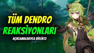 3.0 TÜM YENİ DENDRO REAKSİYONLARI | Genshin Impact Türkçe