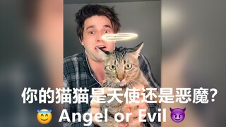 看看你的猫猫是天使还是恶魔？ 😂