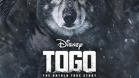 Togo • 2019 ‧ Drama ‧ 1h 54m