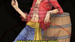 inilah alasan luffy cuma punya 2 luka permanen