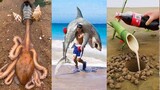 Catching Seafood 🦀 ASMR Relaxing (Catch Shark, Catch Fish, Deep Sea Monster )