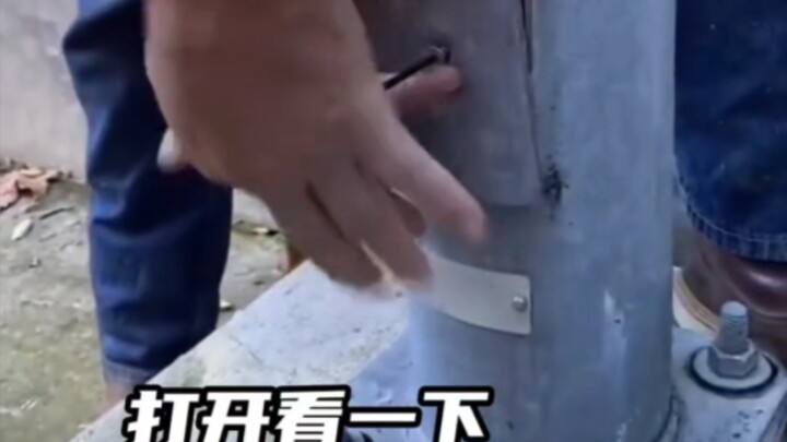 好像一不小心偷了松鼠的家……