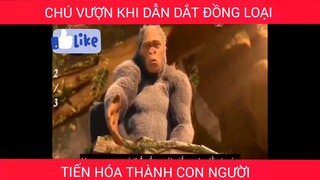 Khi chú vượn tiến khóa thành con người