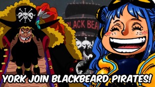 York will be allied with the Blackbeard Pirates