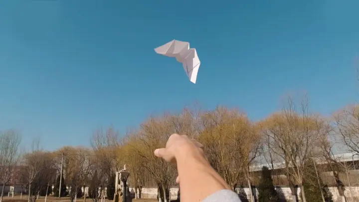 Do remember my flapping paper airplane? I’ll get it back in my hand
