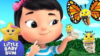 Caterpillar Wiggle Wiggle Mias Learning Time | Nursery Rhymes