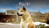 Hachiko A Dog's Story (2009)
