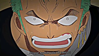 Momen zoro nyasar di water 7