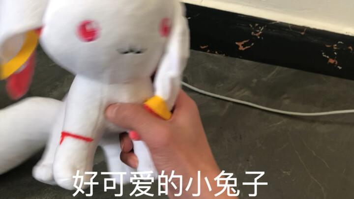 小兔子受伤了怎么办？