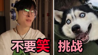 【表白级】不要笑挑战！笑的我换了条裤子...全程高能